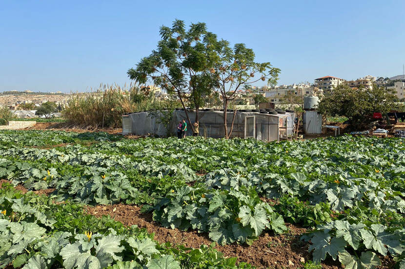 informal tented settlement (ITS) in Libanon