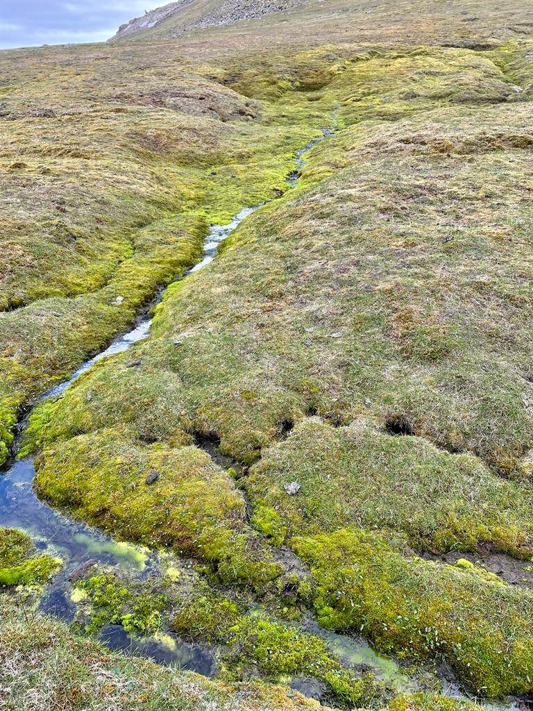 Permafrost Spitsbergen