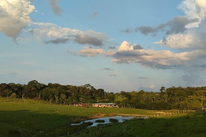 Een stuk ontbost gebied in Solano.