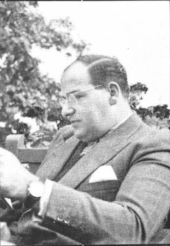 Portrertfoto Sally Noach