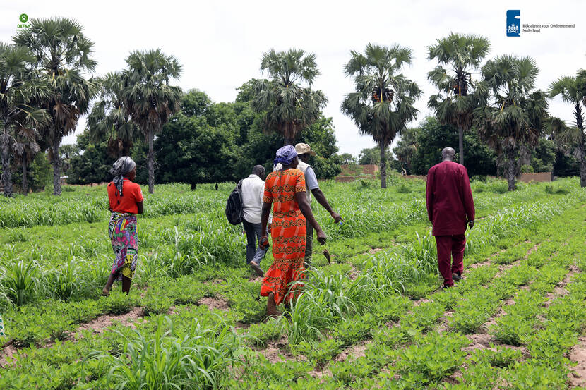 Veldbezoek in Tsjaad.