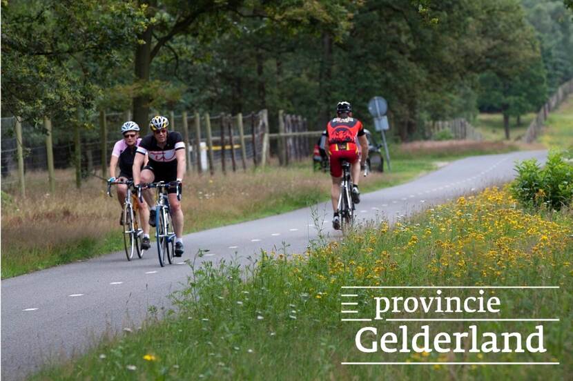 Ecologisch beheerde berm in Gelderland