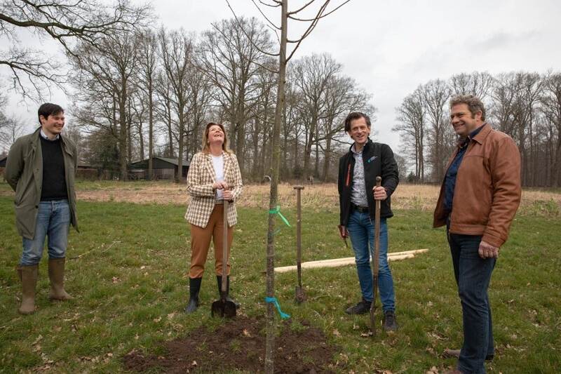 Planten bronboom in Nijkerk