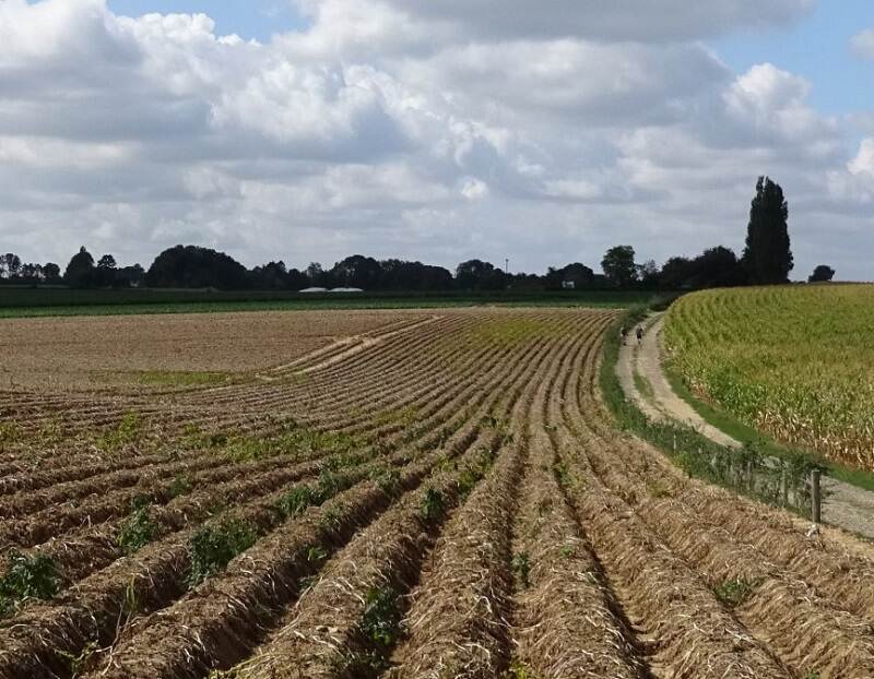 Landbouwgrond met horizon