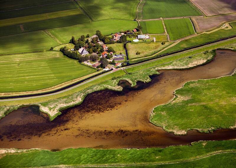 Natuur langs Nederlandse grote wateren