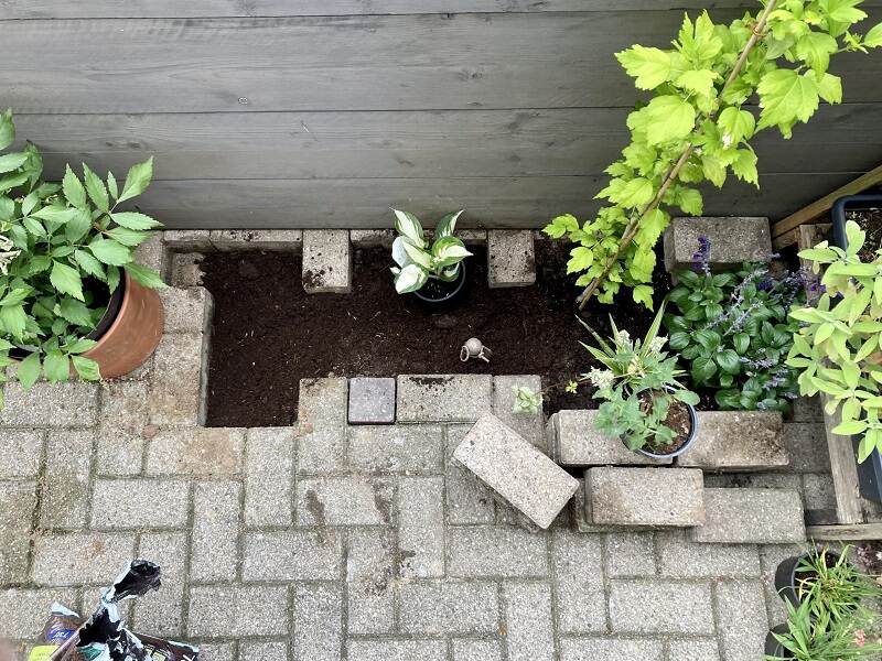 Tuin met paar verwijderde tegels en groen