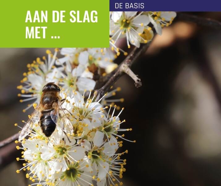 Voorkant boekje aan de slag met biodiversiteit